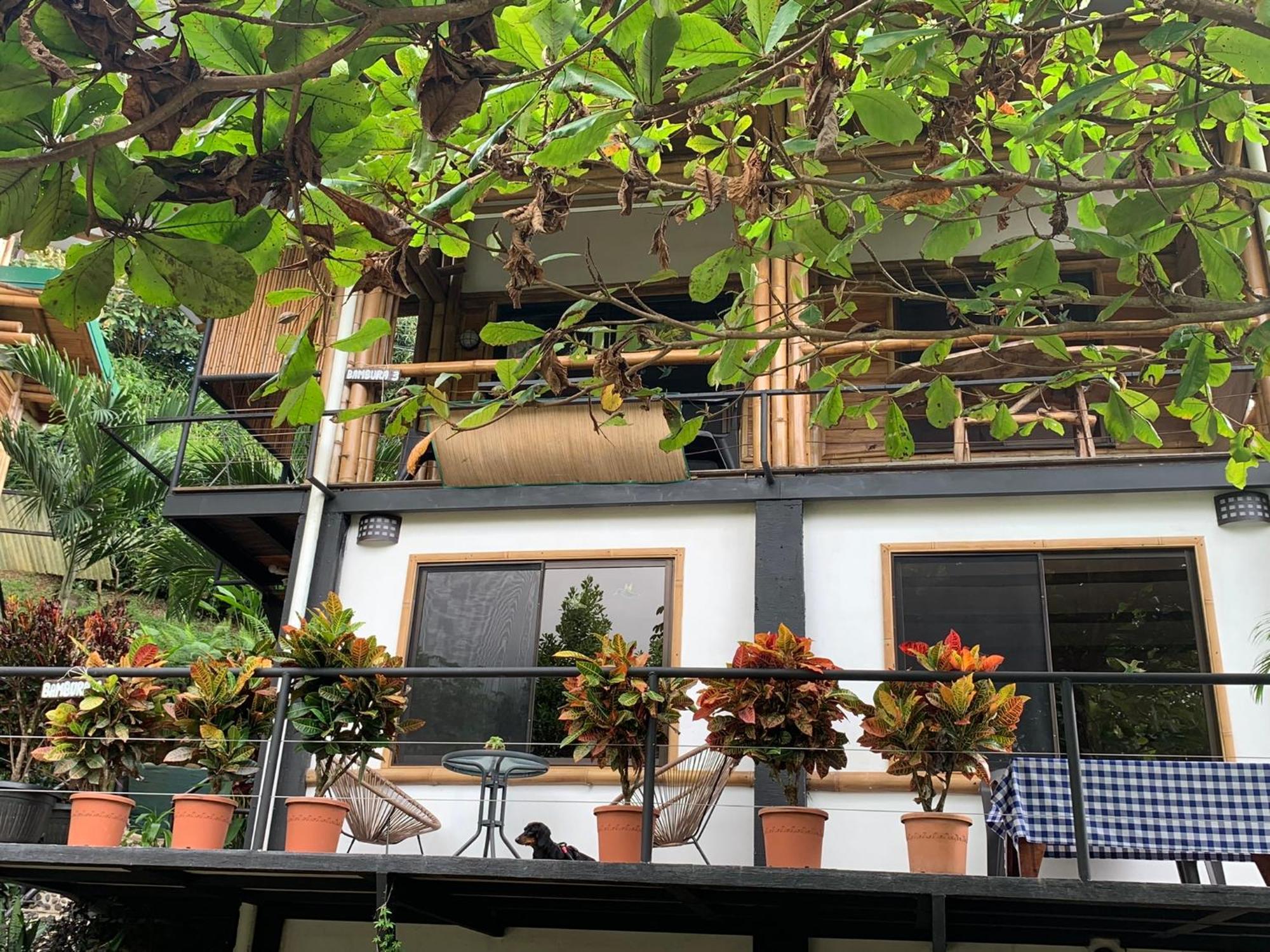 Bambura Hermosa Villas Uvita Dış mekan fotoğraf
